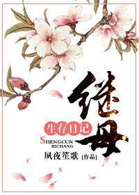 继母日记剧情