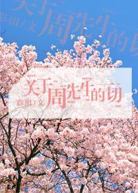 关于周先生的一切好看吗