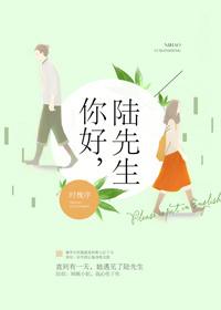 你好陆先生全文