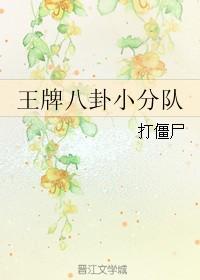 王牌八卦小队 百度