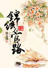 锦绣官路TXT
