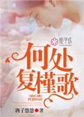 何处复槿歌 (下) 酒子悠悠
