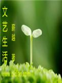 文艺生活方式