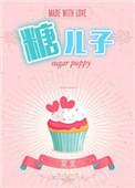 糖二代简介