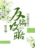 反骗攻略快穿txt