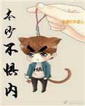 本少不惧内无防盗