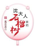 沈大人家的石榴树(重生)