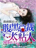 暖婚蜜爱腹黑总裁的心尖宠
