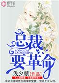 二婚新妻总裁老公惹不得