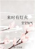 来时有灯火69章