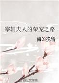 宰辅夫人的荣宠之路贴吧