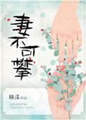 妻不可攀好看吗
