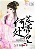 何处惹尘埃是什么歌曲