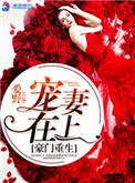 豪门重生之宠妻在上全免费阅读全文