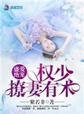 盛爱绝宠 权少撩妻有术