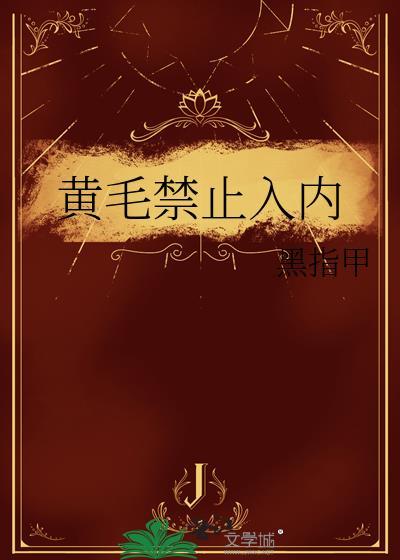 黄毛禁止入内第27章