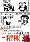 丞相大人的糟糠之妻txt微盘