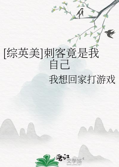 我是刺客