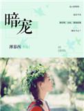 暗宠娇气包双男