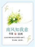 南风知我意电视剧简介