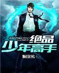 绝品少年高手之五