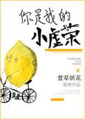 你是我的小虚荣无删减