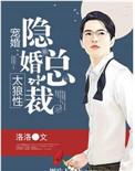 隐婚总裁超级宠免费阅读