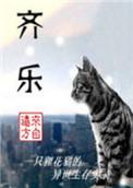 齐乐人宁舟车