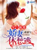 军门霸宠之狂傲冷妻