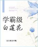 学霸完结