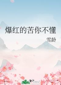 爆红的苦你不懂免费阅读