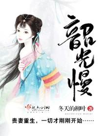 韶光慢冬天的柳叶txt