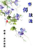 奈何肤浅免费阅读
