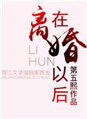 在离婚以后txt