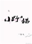 小野猫公路历险记