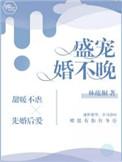 盛婚晚不宠免费