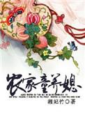 农家童养媳全文免费阅读苏锦