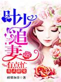 叶少追妻宠上瘾