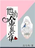 他的金丝雀流兮冉免费阅读