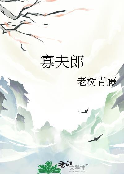 寡夫郎他男人找来了TXT免费阅读