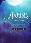 小月光黄经天