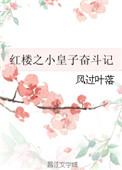 红楼之小王子