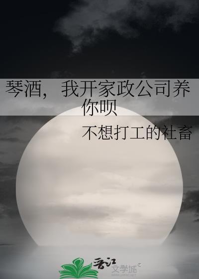 我开家政公司养你呗txt