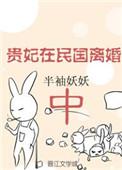 贵妃民国离婚中格格党