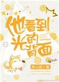 他看到光的背面晋江