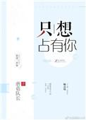 我只想占有你的意思