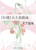 红楼夫人套路多