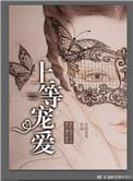 上等宠爱 番茄