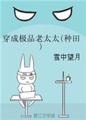 穿成极品老太太txt