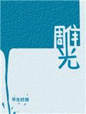 雕光by平生好剑 番外